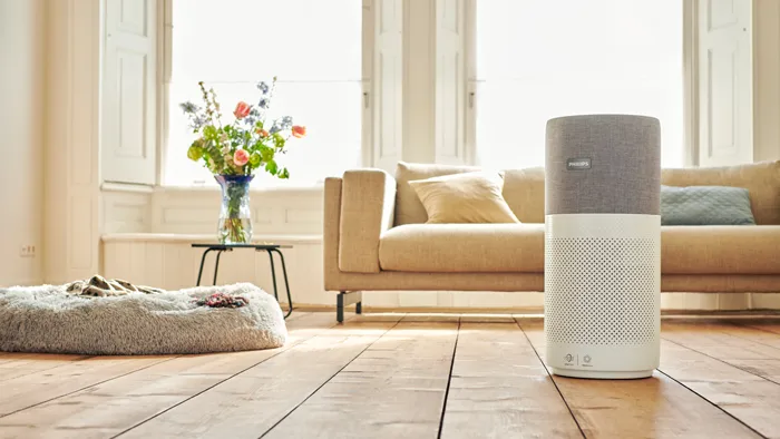 air purifiers improve indoor comfort
